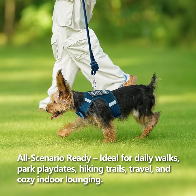 Dog Harness for Puppy – Adjustable Reflective Easy Put On Soft Mesh Vest for Small Dogs with 2 Patches (Prussian Blue,S)
