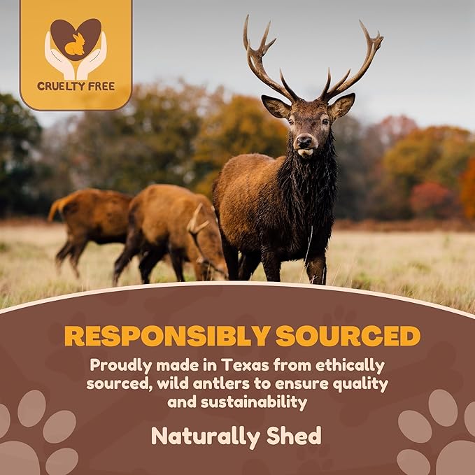WhiteTail Naturals - Premium Split Elk Antlers for Large Dogs - (Extra Large-1Pack) - Elk Horn Dog Chews - Naturally Shed, Antler Chew Bone - Long Lasting, Crafted in USA