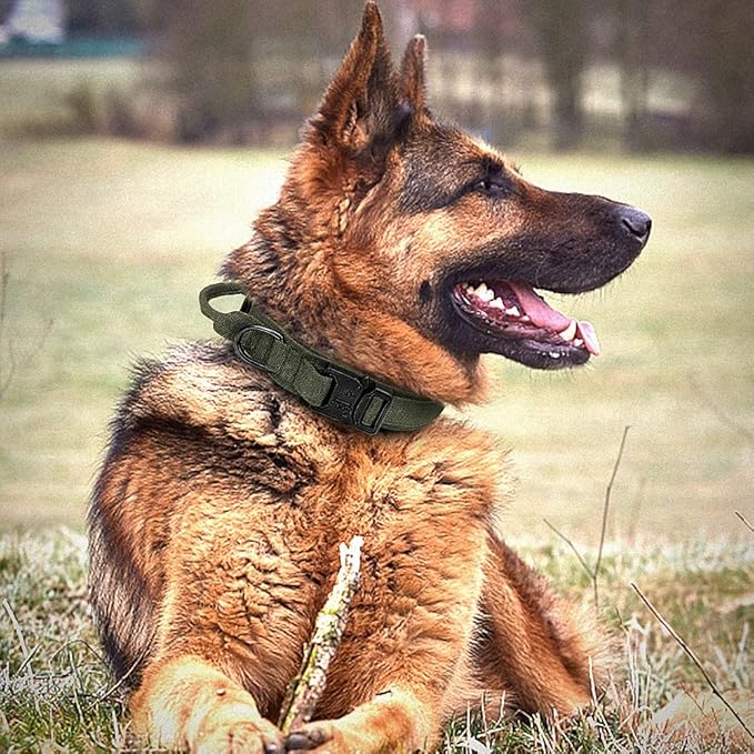 Military Tactical Dog Collar Leash German Shepard Medium Large Dog Collars Lead for Walking Training Dog Collar Control Handle Green M