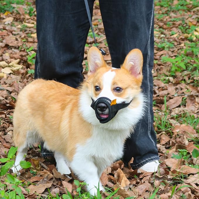 Mayerzon Dog Muzzle with Adjustable Strap to Prevent Biting Fierce Barking and Chewing, Air Mesh Breathable Pet Muzzles for Small Medium Large Dogs