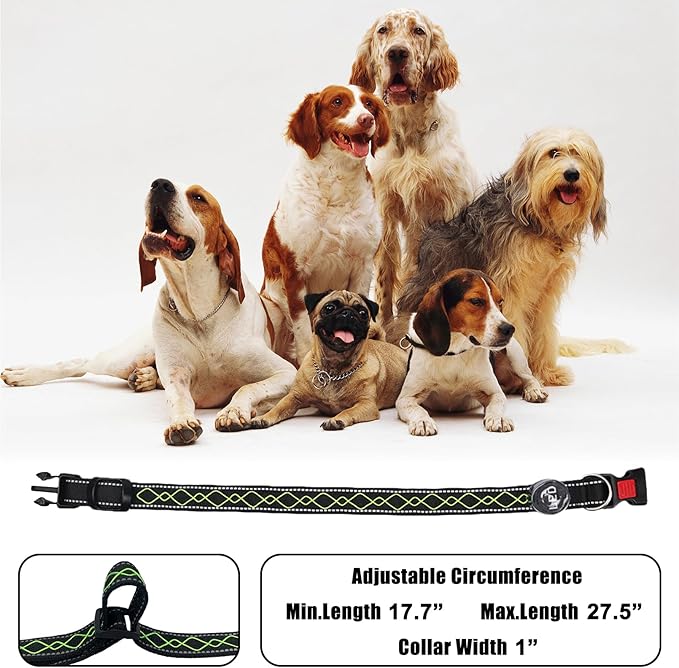 Luwint Stylish Light Up Dog Collar, LED Dog Collar USB Rechargeable - Safety Glow in The Dark for Night Walking & Camping | Adjustable, Waterproof, High Visibility Green