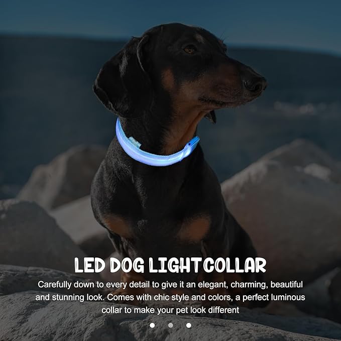 Light up Dog Collar Rechargeable Blue LED Pet Collar Adjustable Small Size Night Safety Glowing Neck Decor for Dogs