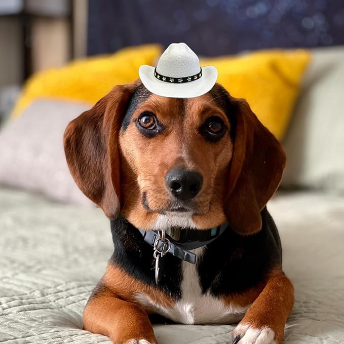 Dog Cowboy Hat Cat Cowboy Hat Pet Cowboy Costume Mini Cowboy Hat for Dogs Cat Holiday Halloween Pet Party Decoration (White, Small)