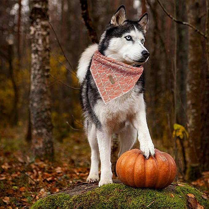Elegant Little Tail Dog Bandana, Fall Halloween Adjustable Scarf Handkerchief Bib for Small Large Dogs, Boy Girl Square Kerchief