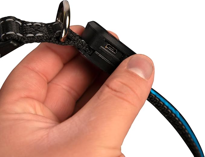 Sherry Kline LED Light-Up Pet Collar - USB Rechargeable - Flashing Glow in The Dark Size Small, Color: Blue