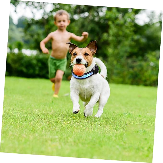 Rechargeable Dog Collar Led Lights Night Safety Collar for Dogs Pet Supplies Solar