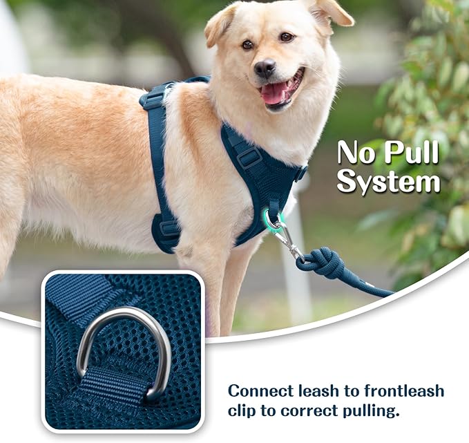 No Pull Dog Harness for Small Medium Large Dogs - Adjustable 2 Layer Mesh Dog Vest with Dual Clip, Escape Proof, Quick Release, Lightweight Breathable Mesh for Walking Hiking (Prussian Blue,S)