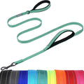 VIVAGLORY Twingrip Dog Leash, Double Handle Dog Leash for Training & Walking with Traffic Handle & 2 Loop, Traffic Control Reflective Heavy Duty for Puppy Pet, 5ft x 1/2in, Turquoise