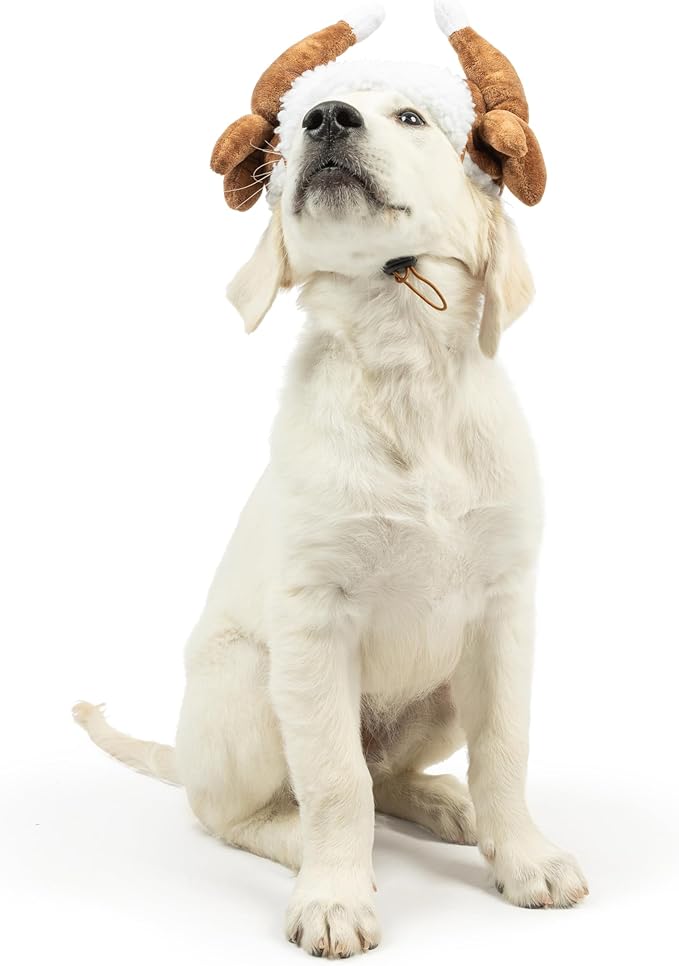 Huxley & Kent Pet Hat | Turkey Tester (Medium) | Fun Thanksgiving Holiday Hat for Dogs/Cats | Cute, Comfortable and Fun | SnugFit Strings for Best Fit