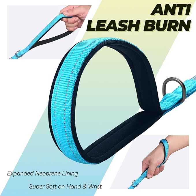 VIVAGLORY Twingrip Dog Leash, Double Handle Dog Leash for Training & Walking with Traffic Handle & 2 Loop, Traffic Control Reflective Heavy Duty for Puppy Pet, 6ft x 1/2in, Lake Blue