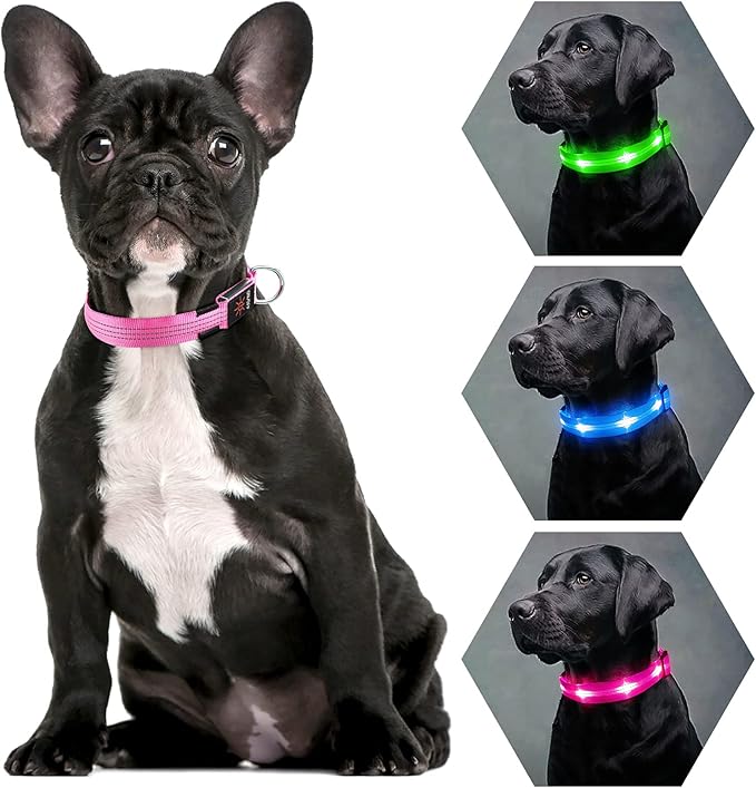Weesiber Light Up Dog Collars - Rechargeable LED Collar - Reflective Adjustable Dog Lights for Night Walking (Pink, Small)