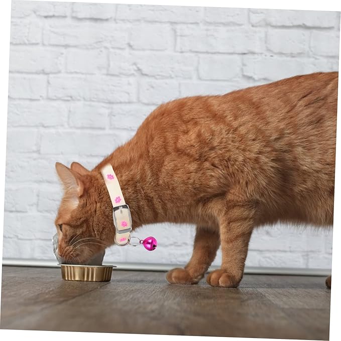 Toyvian 3Pcs Dog Collar Fluorescent Neck Straps Night Safety Kitten Puppy Reflective Glow Collars for Outdoor Visibility and Lost Prevention Random Color