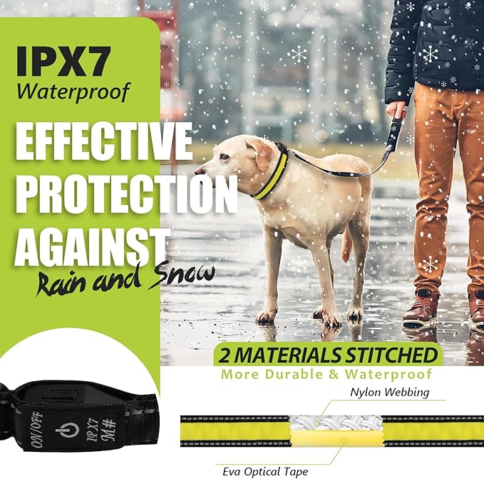 Rechargeable Glowing Dog Collar - Flashing, Adjustable, Waterproof Light Up for Night (Yellow, Pack of 1, XS)