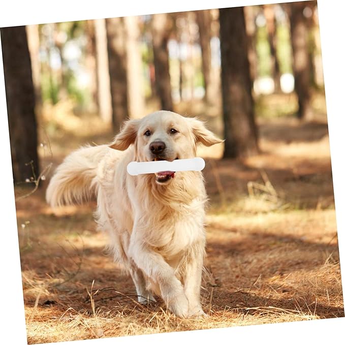 SUPVOX Dog Nose Work Training Tool Scent Training Stick for Service Dogs Engaging Nosework Activities User-Friendly Design