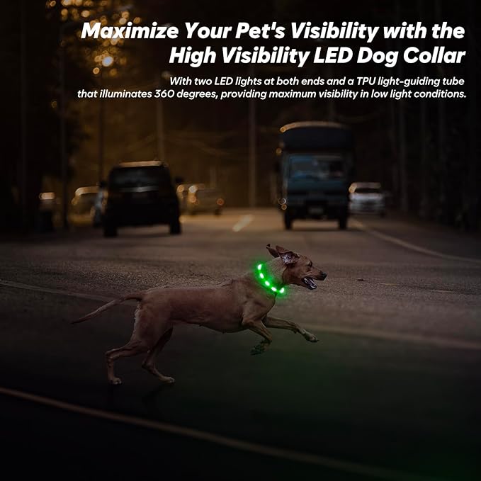 BSEEN Light Up Dog Collar - 2 Pack LED Dog Collar Rechargeable, Silicone Cuttable Glow in The Dark Dog Collar Light, Flashing Safety Dog Lights for Night Walking (Red+Green)
