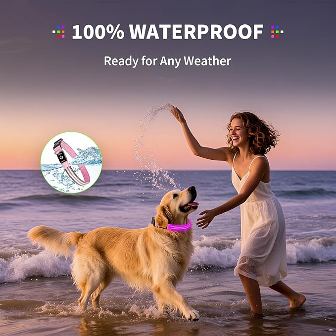 PetIsay Dog Light up Collar for Night Walking - High Visibility LED Dog Collar - Rechargeable - Waterproof - Reflective - Adjustable Lighted Glow Collars(Pink, XLarge)