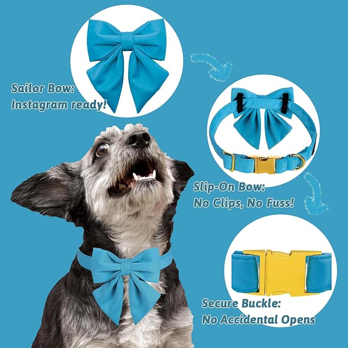 Maca Bates Sky Blue Dog Collar with Cute Solid Sailor Bow Tie for Small Girl Boy Dogs,Adjustbale Durable Breakaway Soft Collars with Bowtie for Female Male Puppy,Pet with Metal Buckle