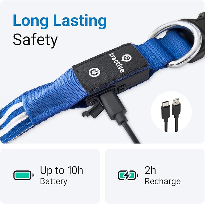 Tractive LED Light Up Dog Collar USB Rechargeable Waterproof (Blue), Medium