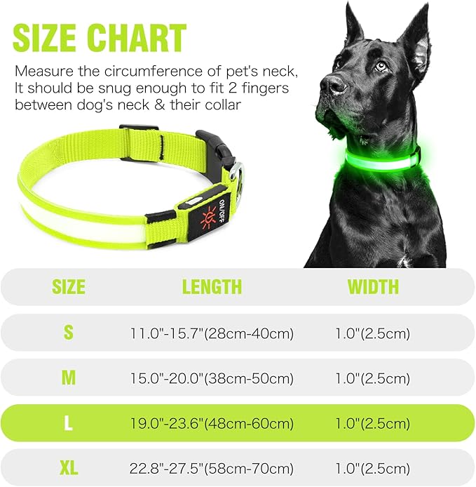 Illumifun LED Dog Collar, USB Rechargeable Light Up Dog Collars, Adjustable Glow Collars Safety Light for Small Medium Large Dogs (Green, Large)