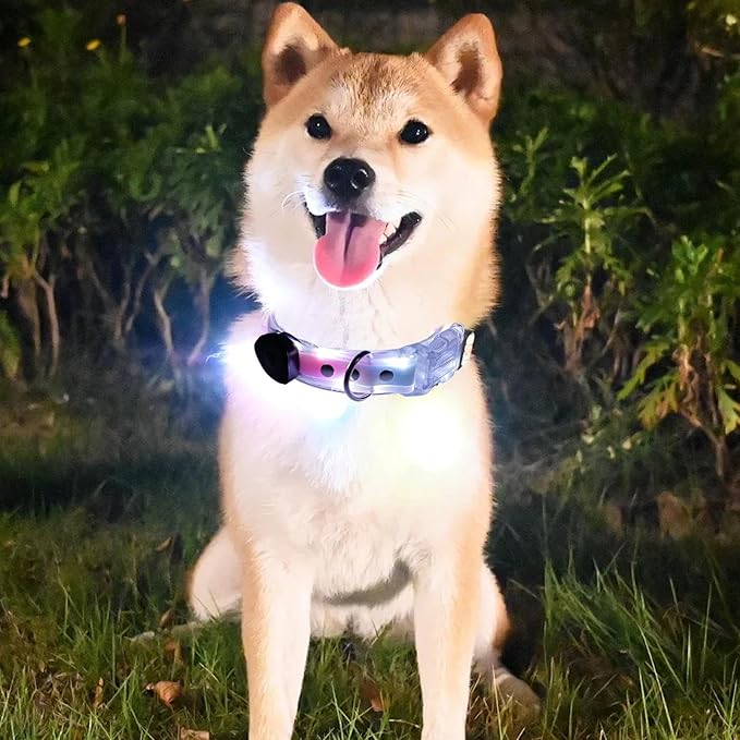 Light Up LED Dog Collar - Rechargeable Pet Necklace Accessory, Adjustable Luminous Collar,PVC Rubber Coated LED Dog Collarr Specification | Lighted Outdoor Protectionfor Small,Medium and Large Breeds