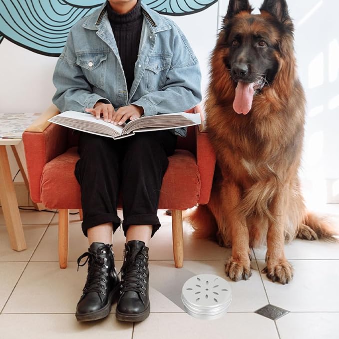 YARNOW 6pcs Dog Scent Training Cases Aluminum Odor Boxes for Nose Work Durable Scent Training Supplies for Small Dogs for Agility and Search