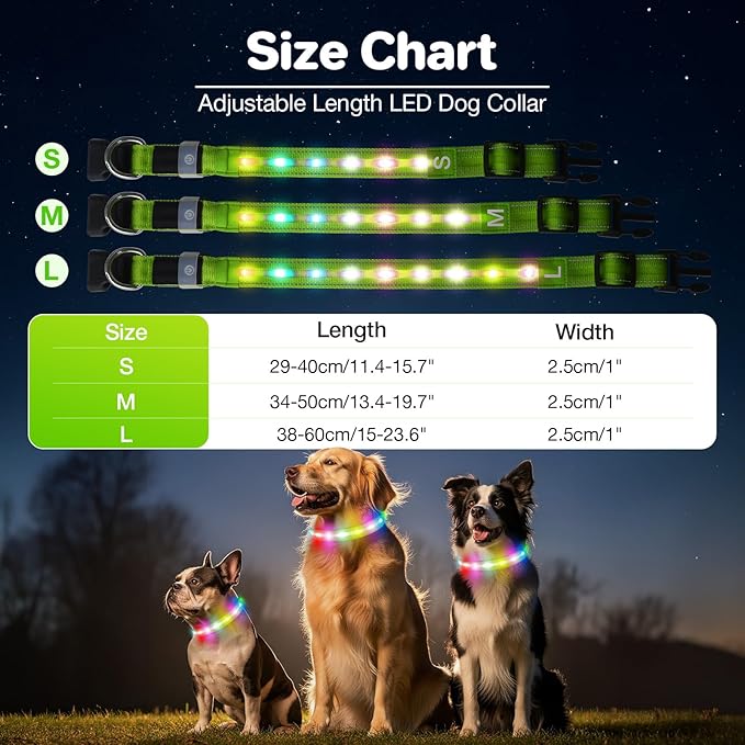 Light Up Dog Collar, USB Rechargeable 6 Modes, Waterproof Charging Port, Long Lasting LED Collar - Adjustable Nylon Reflective for Dogs, Sizes S/M/L (7/9/11 Lights) - 5 Colors (Green, L)
