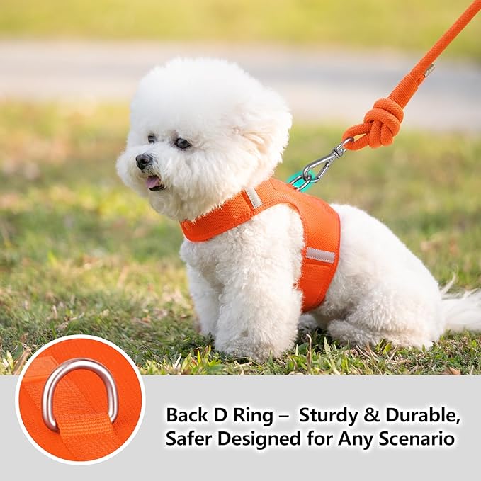 Dog Harness for Puppy – Adjustable Reflective Easy Put On Soft Mesh Vest for Small Dogs with 2 Patches (Orange,M)