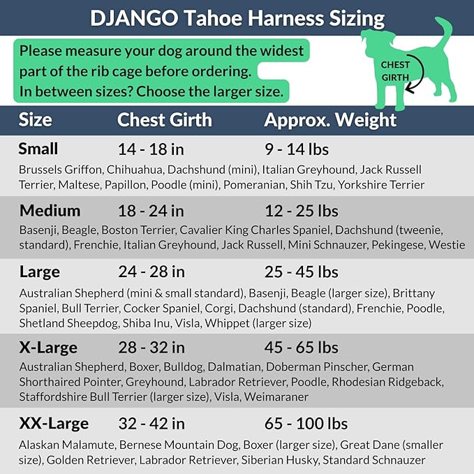 DJANGO Tahoe No Pull Dog Harness – Escape-Proof Dog Harness for Small & Medium with Front & Back Clips for Everyday Use – Adjustable, Padded, Reflective, Secure Fit, Easy On/Off – Dark Teal, Medium