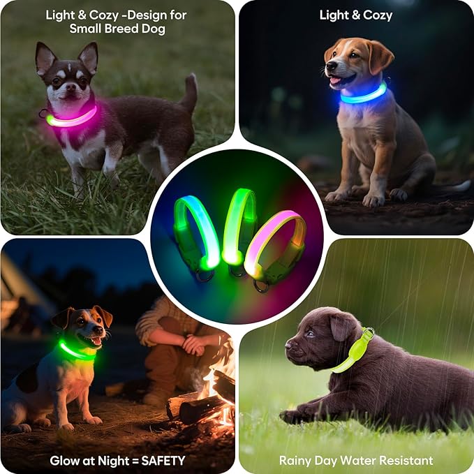 Light up Dog Collar - Multi-Color LED Dog Collar, USB-C Rechargable, Flashing Collar for Cats, Puppy Dogs and Small Breeds,Waterproof and Adjustable Rainbow Collar for Dogs(XSmall)