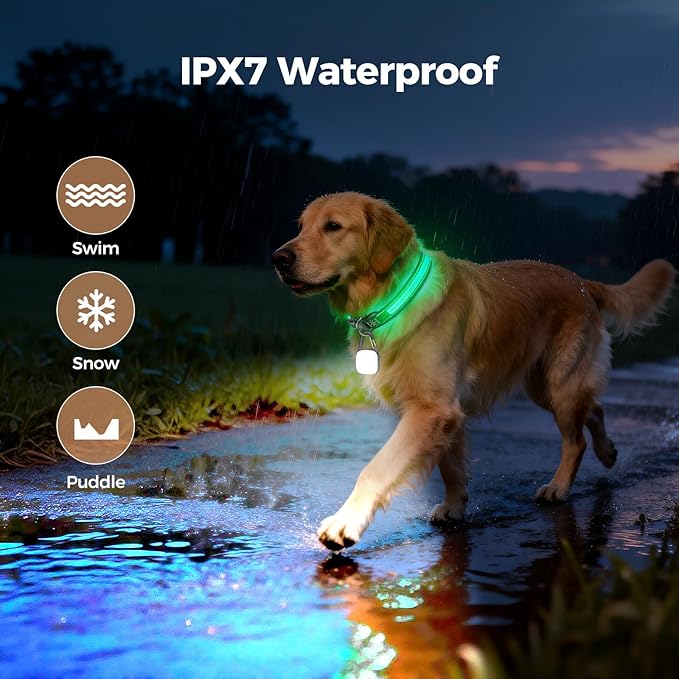 Light Up Dog Collar with Dogs Light Set, Adjustable USB Rechargeable LED Dog Collar Light for Night Walking for Small Medium Large Pet