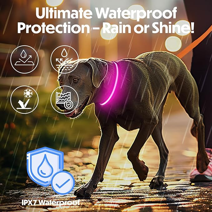 Light Up Dog Collar – Reflective, Adjustable & Rechargeable Electronic Glow Pet Collars – Bright, Comfortable, High Visibility LED Dog Collar for Night Safety, Outdoor Walk, Flashing Fun, Pink, Medium