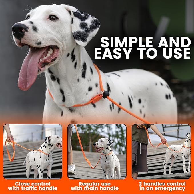 Howgo Dog Slip Lead Dog Leash, Training Lead, No-Pull Slip Leash and Collar, Heavy Duty & Durable Nylon, Padded Handle, for All Breeds (Green, 3.6FT)