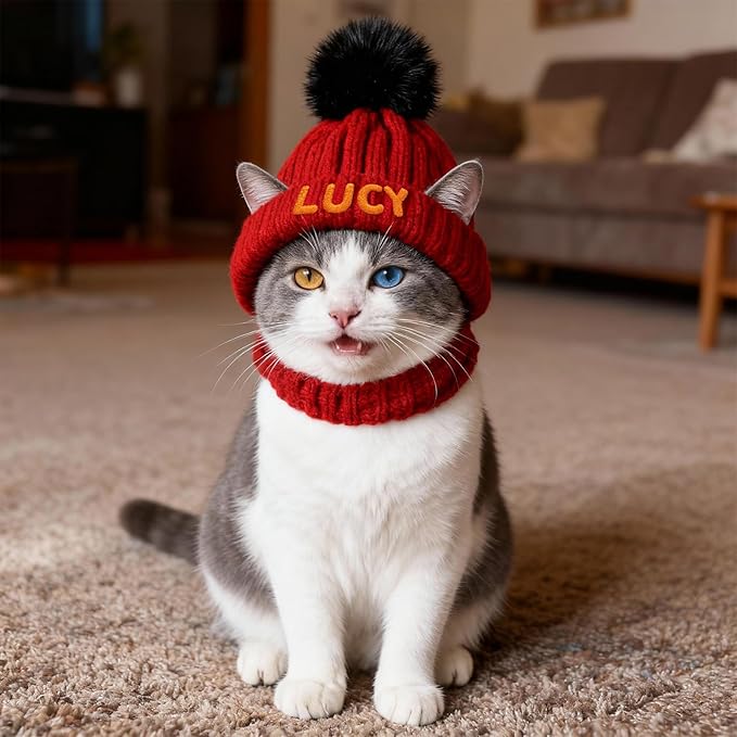 Custom Dog Beanie with Embroidered Name, Personalized Dog Santa Hat for Dog & Cat, Pet Winter Hat for Small Medium Large Dogs Cats