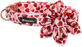 Maca Bates Valentine's Day Dog Collar with Floral Bow for Extra Small Girl Boy Dogs,Red Love Hearts Pattern,Adjustable Durable Soft Valentine Gift for Female Male Puppy