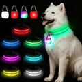 Light Up Dog Collar with Dogs Light Set, Adjustable USB Rechargeable LED Dog Collar Light for Night Walking for Small Medium Large Pet