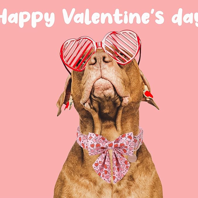 Valentine’s Day Dog Collar with Bow Tie, Pink Heart Bowtie Collar with Metal Buckle, Valentine’s Day Gift Pet Collar for Puppy Girl Boy Dog or Cat, Wedding Dog Collar, M, Neck 13.5-22in