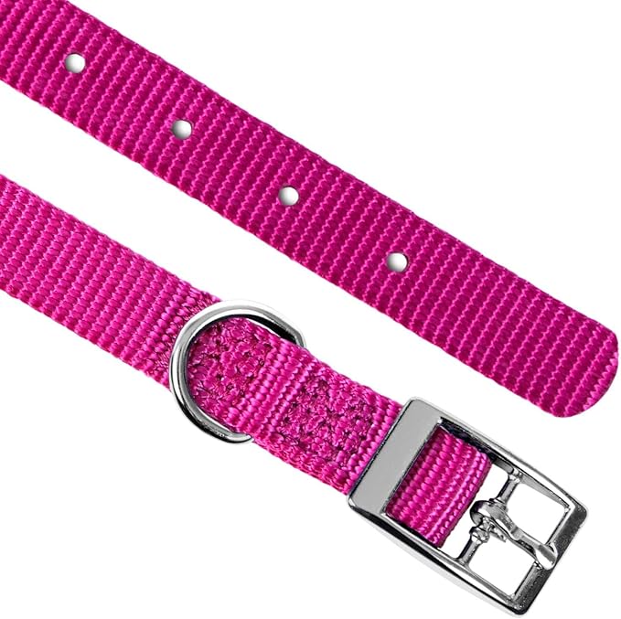 Jeffers Pet Solid Web Nylon Dog Collar for Small, Medium, Large Dogs – Adjustable Pet Collar, Nickel Plated Hardware – Durable, Comfortable – Outdoor, Training Use - Hot Pink 5/8" W x 10" L