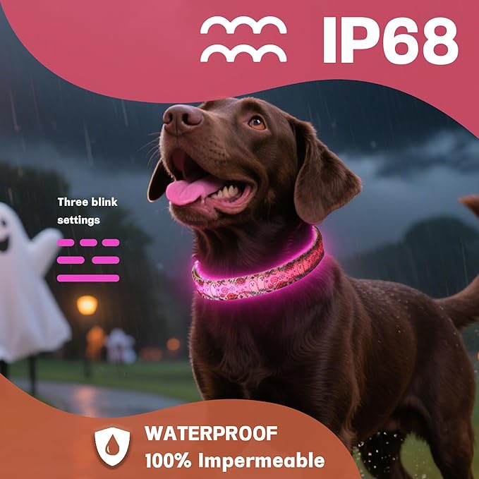 DOGWONG LED Dog Collar - Heavy Duty Light up Collars - Rechargeable Waterproof - Lighted Dog Collar for Night Walking, Hiking, Camping(Pink Ghost,M)