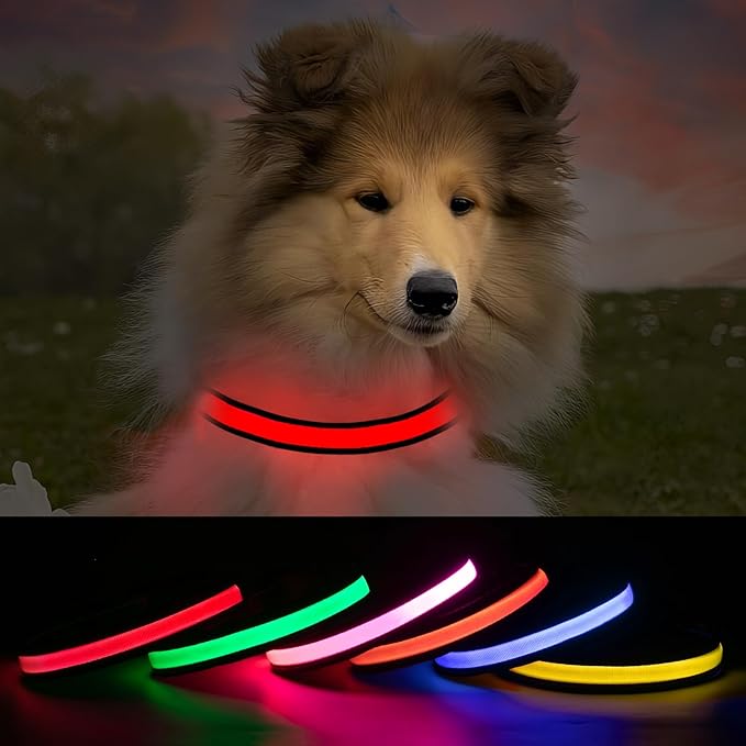 Glowing Dog Collars for Large Dogs, Glow Dog Collars Rechargeable, Flashing Dog Collars for Dark, Waterproof Led Light Up Collar (Red, Pack of 1, L)