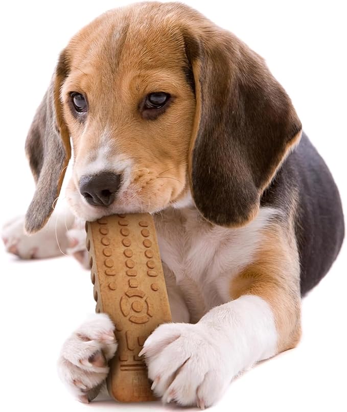 Powerbone TV Remote 7" Chew Toys for Dogs