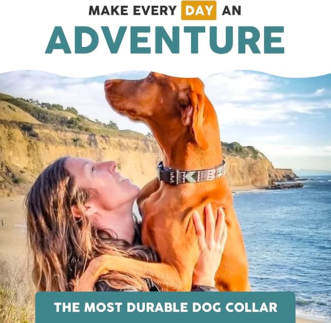 Embark Adventure Pro Dog Collar – Heavy Duty Tactical Dog Collar Stylish & Durable Nylon Dog Collar for Large Dogs, Small Dogs & Medium Dogs. Strong Buckles for Any Size Breed (Small, Green)