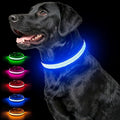 Multicolor Light Up Dog Collar, 5V Waterproof Led Dog Collar Rechargeable, 200 mAh Adjustable Glow in The Dark Dog Collars with 11 Light Modes for Small, Medium, Large Dogs Walk for Night (Medium)