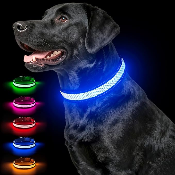 Multicolor Light Up Dog Collar, 5V Waterproof Led Dog Collar Rechargeable, 200 mAh Adjustable Glow in The Dark Dog Collars with 11 Light Modes for Small, Medium, Large Dogs Walk for Night (Medium)