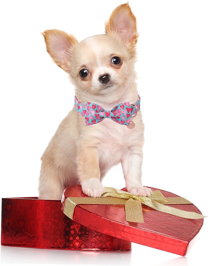 Valentine’s Day Dog Collar with Bow Tie, Pink Heart Bowtie Collar with Metal Buckle, Valentine’s Day Gift Pet Collar for Puppy Girl Boy Dog or Cat, Wedding Dog Collar, XS, Neck 8-12in