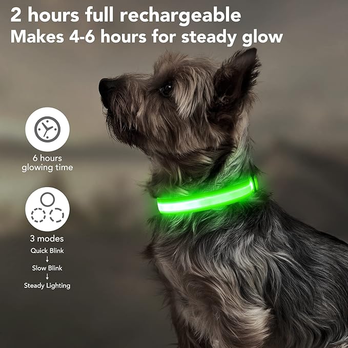 Light Up Dog Collars, LED Dog Collar Rechargeable Waterproof, Full Adjustable Lighted Collar, Glow Dark Dog Collar Light for Night Walking for Small Medium Dogs (Green)