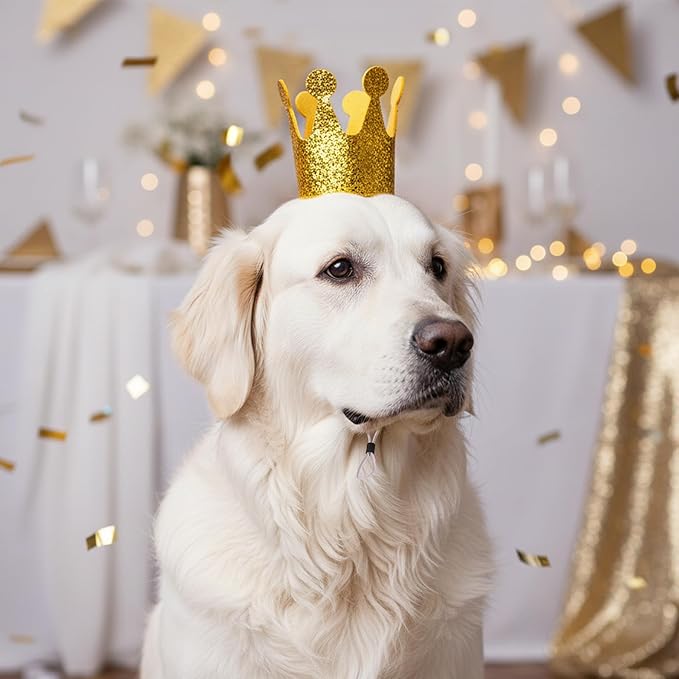 Glitter Dog Birthday Crown, Cat Birthday Hat for Small Dogs, 3.5 Inch Glitter Mini Tiara with Adjustable Strap, Lightweight Felt Headwear for Puppy Milestone Party or Gotcha Day Gold