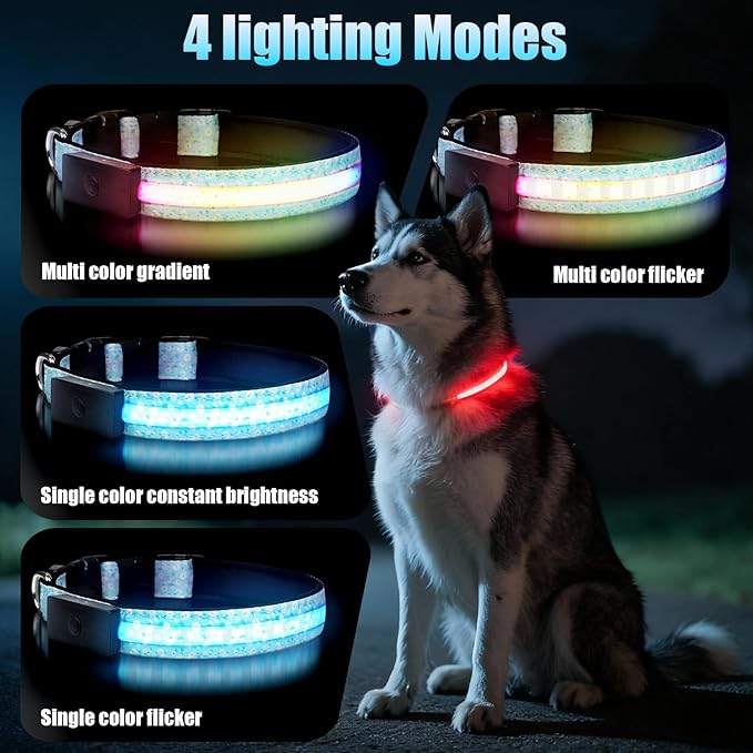 LED Dog Collar - Brightest Light Up Dog Collars - 1,600 Feet of High Visibility - Magnetic Charging - Dog Lights for Night Walking, Daisy Extra Large