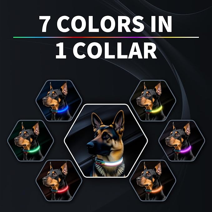 Premium LED Dog Collar for Night Walking - Light up Dog Collar Cycle 7 Solid Colors - Lighted Dog Collars USB C Rechargeable - Waterproof Glow in The Dark Dog Collars - Adjustable, Fashion, Safety(M)