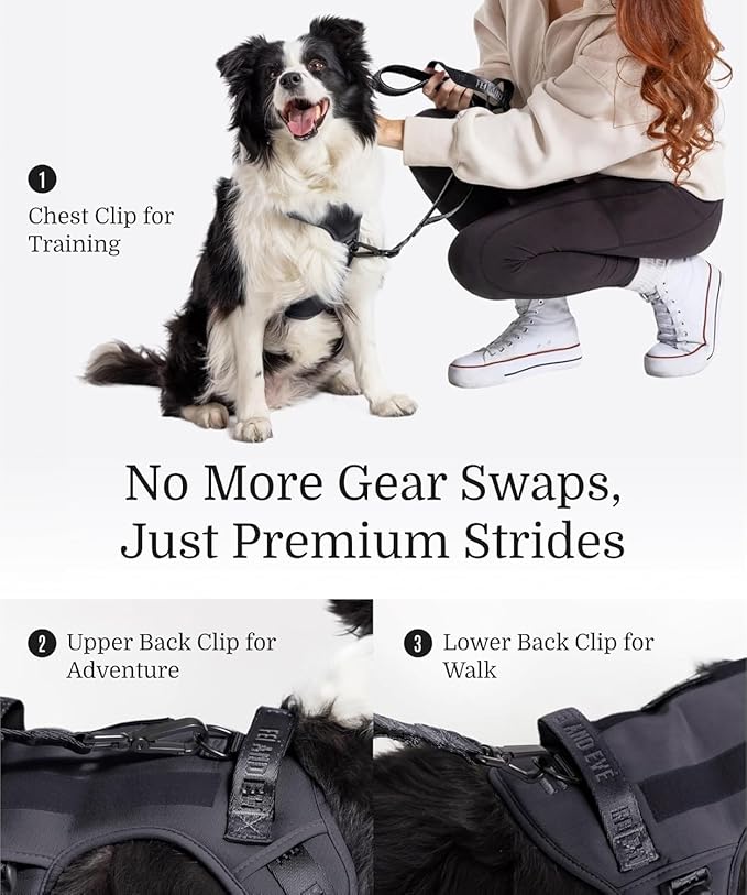 Fei & Eve MagEase Dog Harness - 3-Second Magnetic Buckles | 3-Point No-Pull Control | Heavy-Duty 900D Nylon | Dual Safety Handles | Breathable Mesh | Adjustable Fit | Large,Black