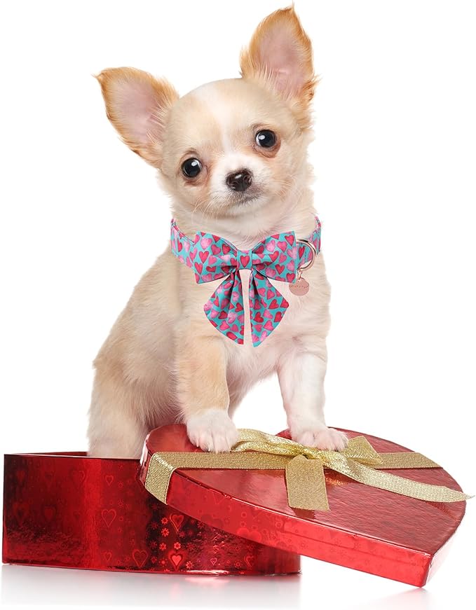 Valentine’s Day Dog Collar with Bow Tie, Pink Heart Bowtie Collar with Metal Buckle, Valentine’s Day Gift Pet Collar for Puppy Girl Boy Dog or Cat, Wedding Dog Collar, S, Neck 10-16in